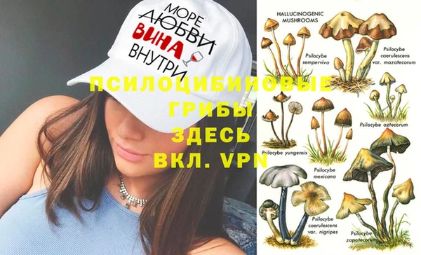 прущая мука Надым
