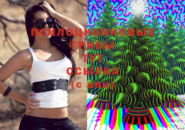 прущая мука Надым