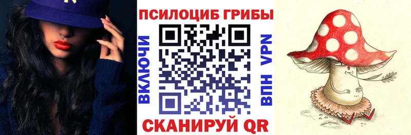 Псилоцибиновые грибы мицелий это наркотические препараты Нальчик