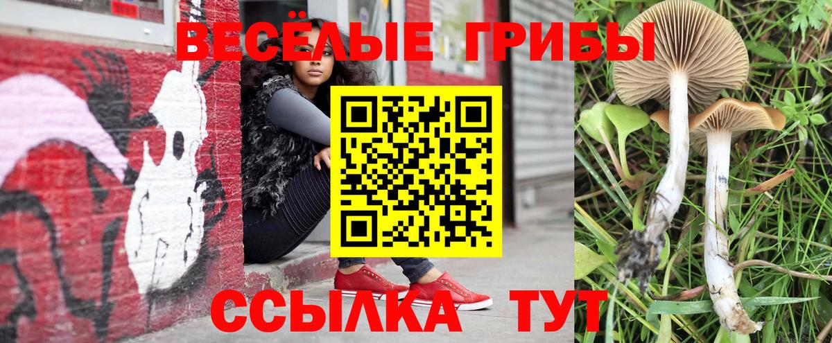 Галлюциногенные грибы прущие грибы Нальчик