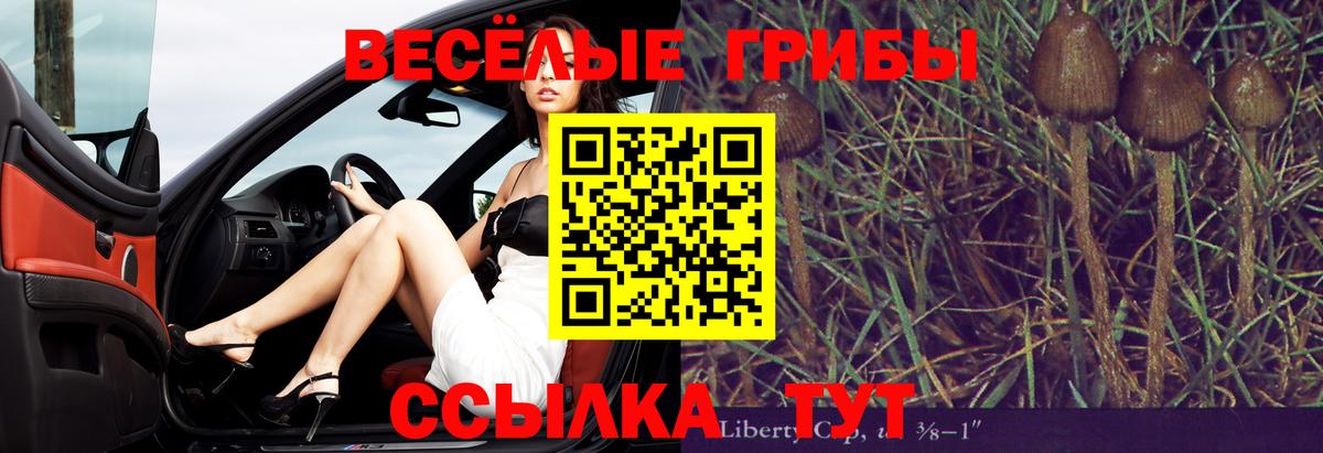 Галлюциногенные грибы MAGIC MUSHROOMS  Вход с VPN  Нальчик 