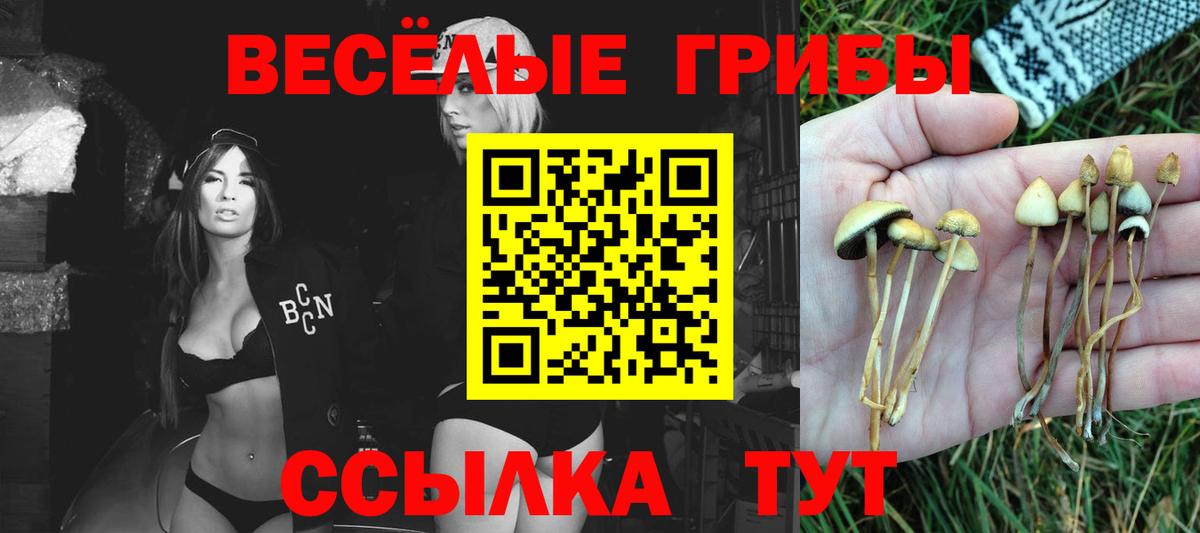 Метамфетамин Нальчик